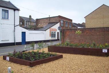 A previous Changing Views grant supported project: Planting in Grays Lane, March.