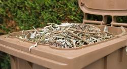 Brown bin, garden waste bin